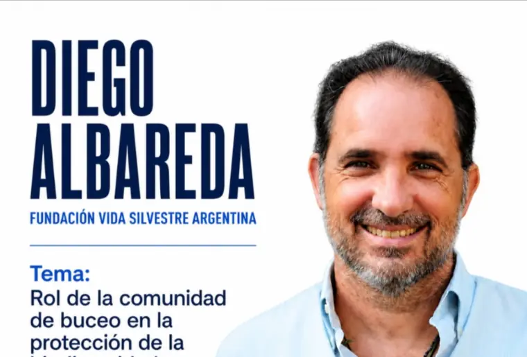 diego albareda